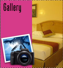 Flamingo Beach Resort » Gallery
